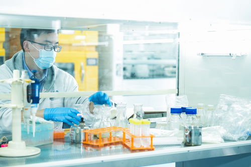 向新而行 以质致远丨效率提升数十倍，四川这家企业用“特别工厂”重构制造新生态