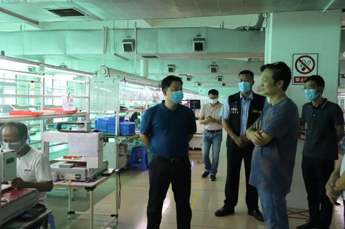 强化节前安全监管，筑牢民生保障防线——石排镇主要领导率队开展安全生产与食品安全专项检查